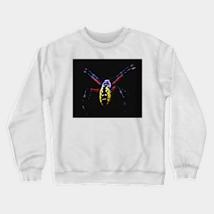 garden spider Crewneck Sweatshirt